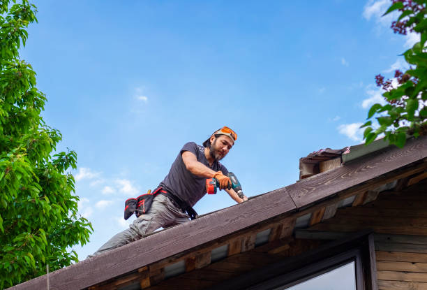 Best Roof Coating and Sealing  in Cypress Gardens, FL